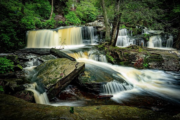 Ricketts Glen Falls Trail 4