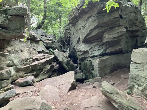 Ricketts Glen Falls Trail 3