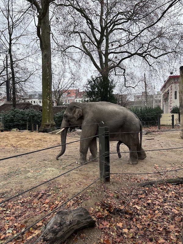 Zoo Antwerpen 4