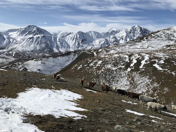 Altai Mountains 1