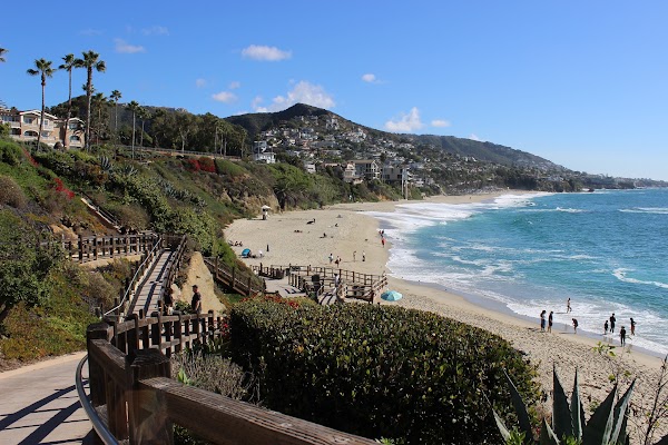 Treasure Island Park 5