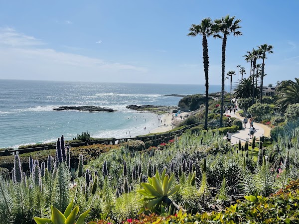 Treasure Island Park 4