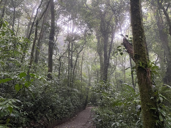 Monteverde Cloud Forest Biological Preserve 5