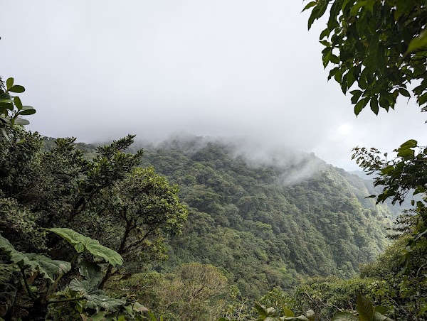 Monteverde Cloud Forest Biological Preserve 3