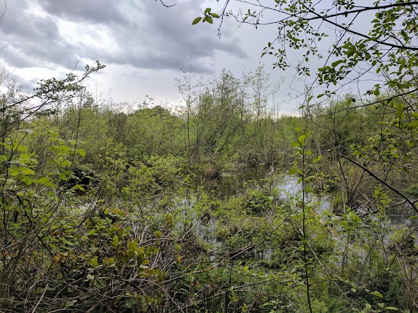 Mercer Slough Environmental Education Center 4