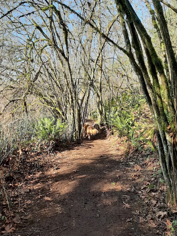 Mercer Slough Environmental Education Center 3