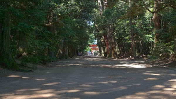 Kashima Jingu Shrine 1