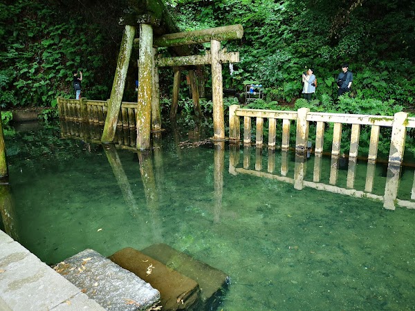 Kashima Jingu Shrine 3