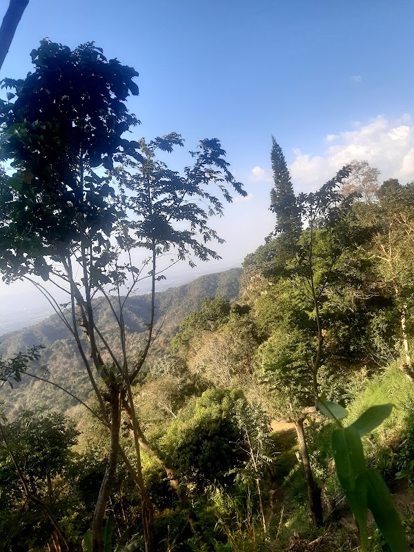 Comasagua