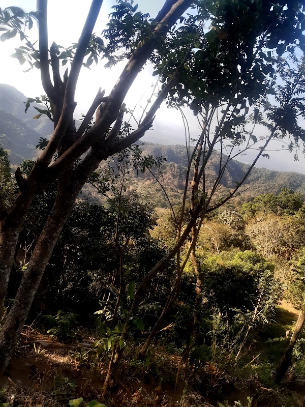 Comasagua 5