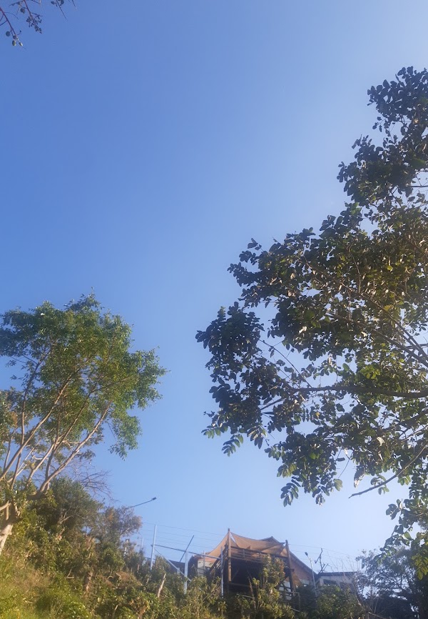 Comasagua 3