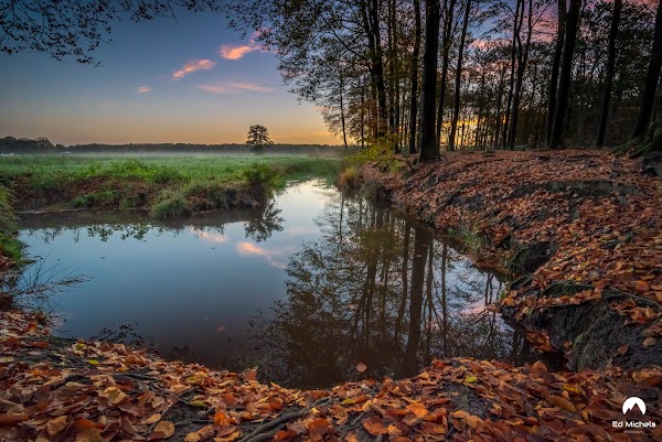 Ulvenhouts voorbos 1