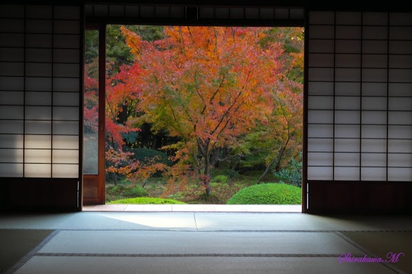 Kansai Insider: Secret Temples & Markets👺🎌 25