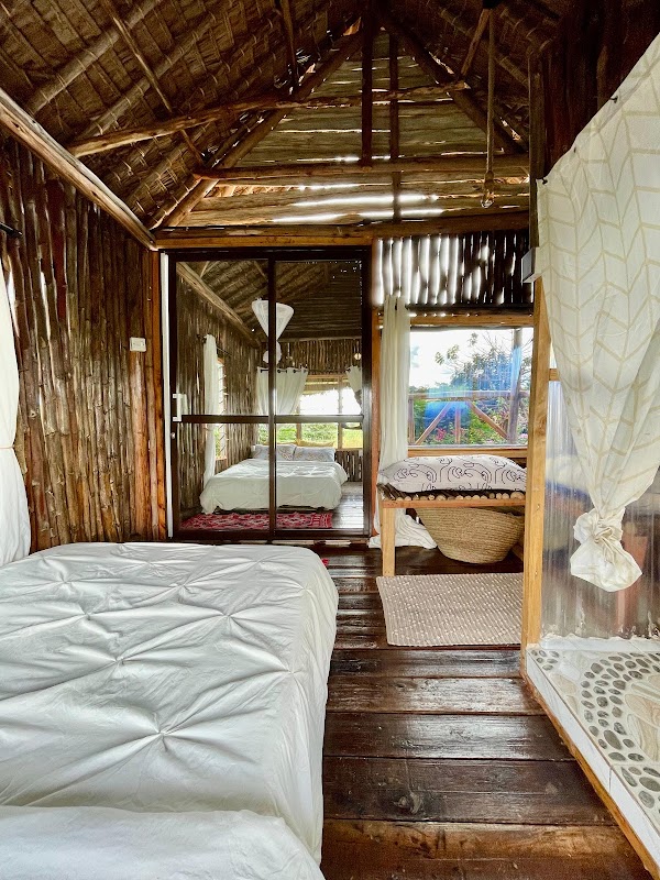 Barizi treehouse 5