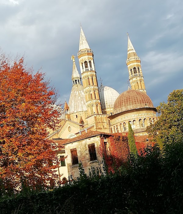 Padua 4