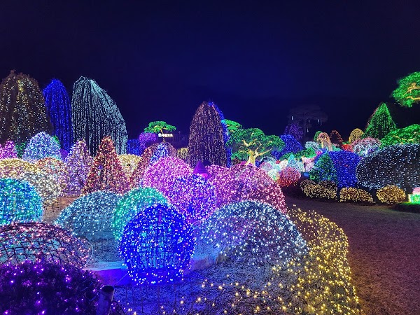 Garden of Morning Calm 5