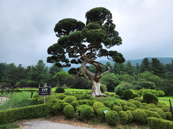 Garden of Morning Calm 4