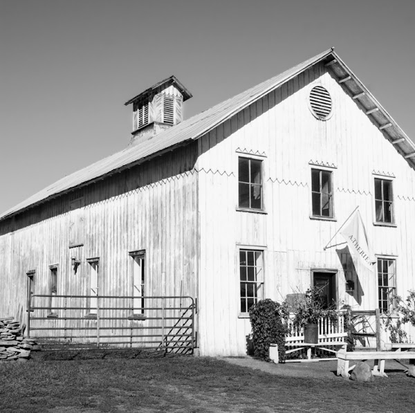 Catskills