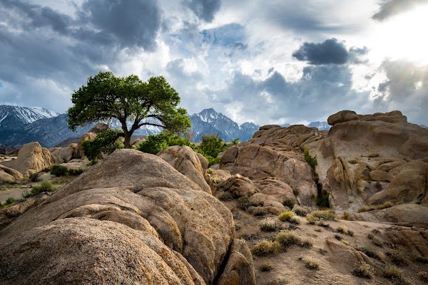 Alabama Hills 1