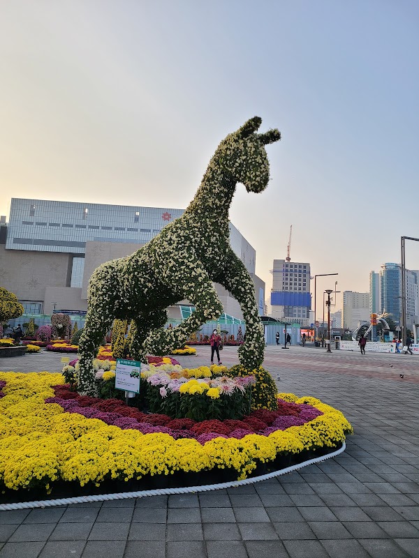 Seoul 6