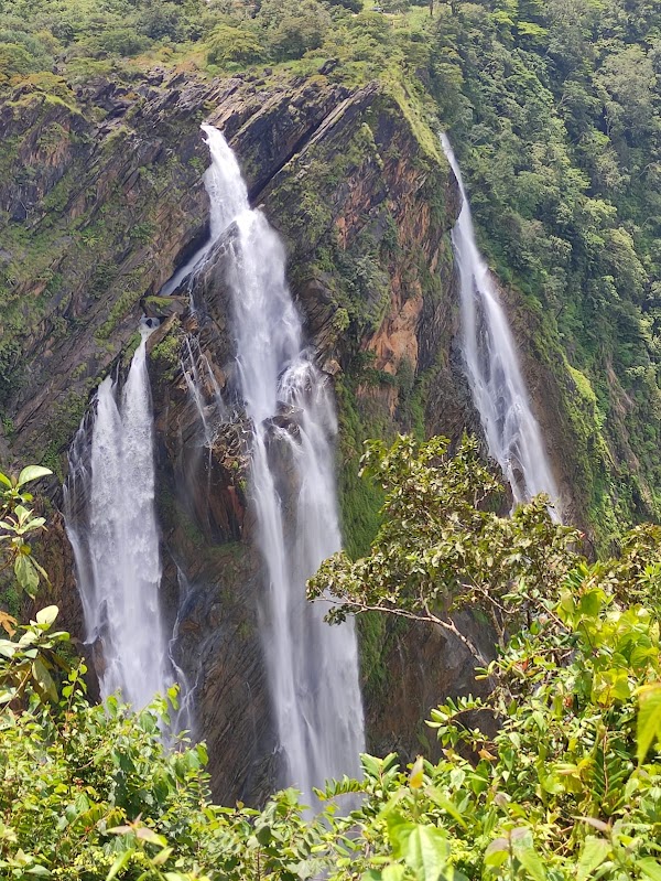 Jog Falls
