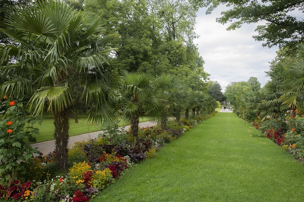 Flora und Botanischer Garten Köln 4