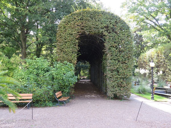 Flora und Botanischer Garten Köln 3