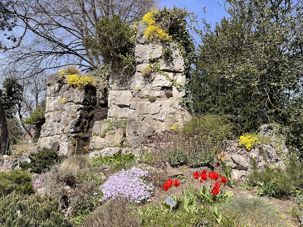 Flora und Botanischer Garten Köln 2