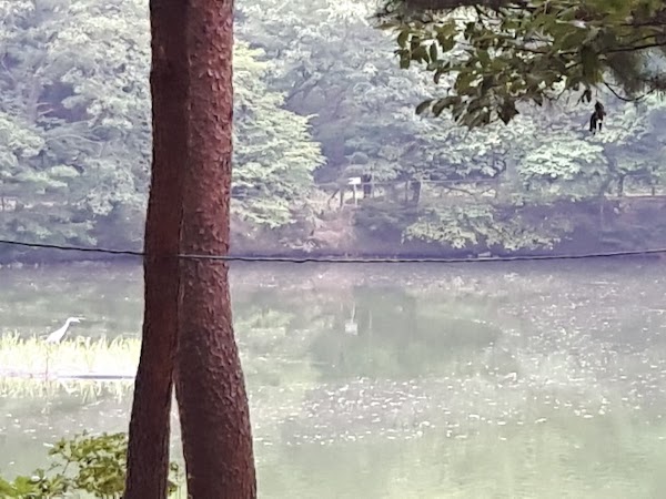 삼육저수지 5
