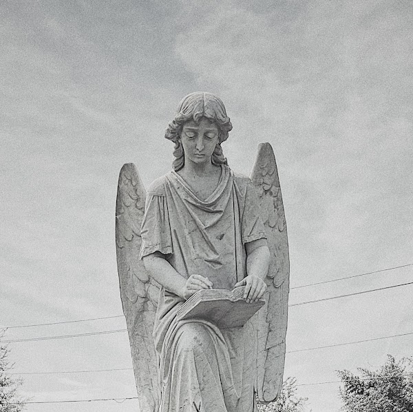 The Turning Angel 1
