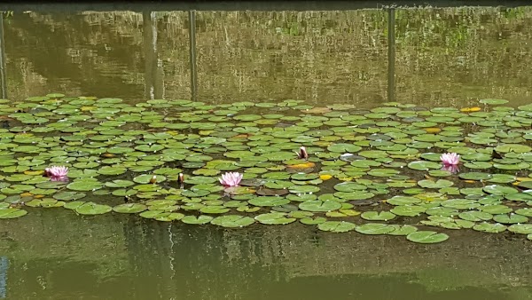 Parc de Vallparadís