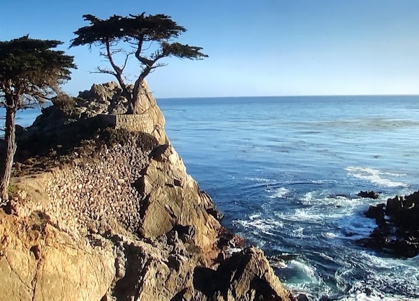 17 Mile Drive 5
