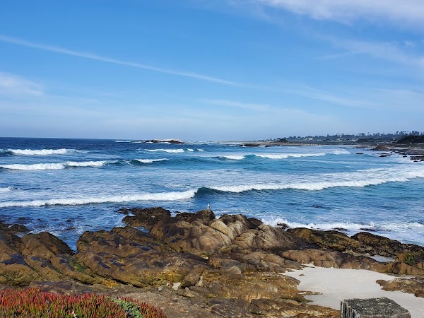 17 Mile Drive 3