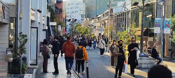 Cat Street 2