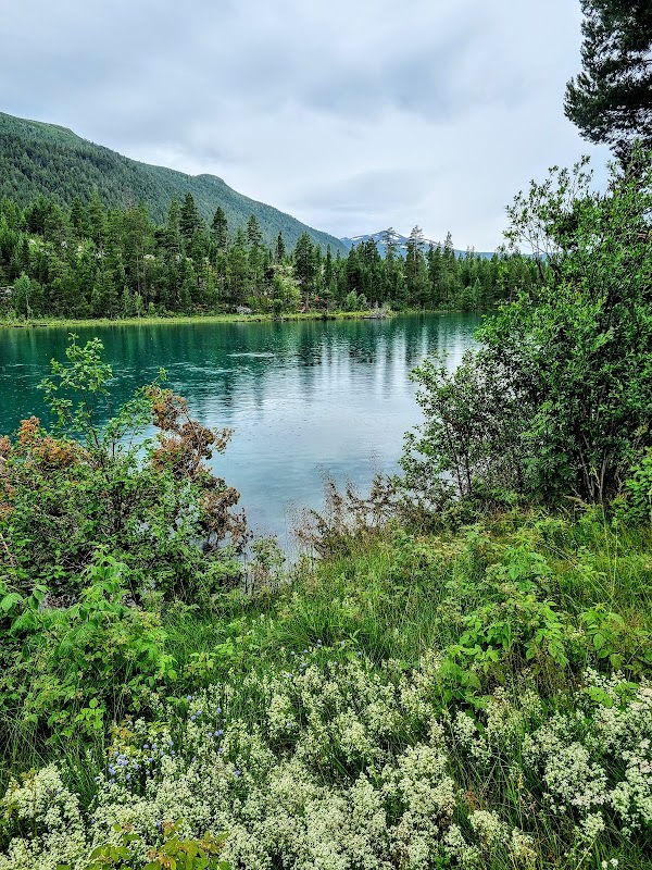 Gamle Strynefjellsveg 2