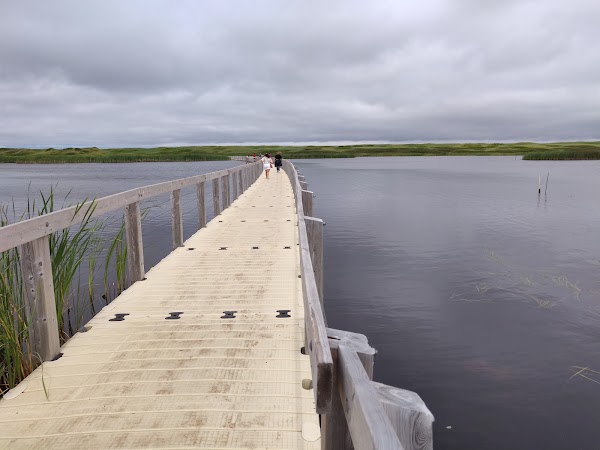 Greenwich Dunes Trail 3