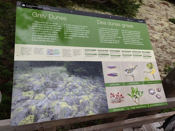 Greenwich Dunes Trail 2