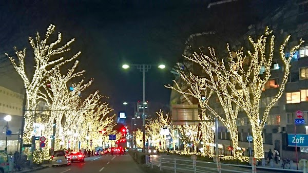 Omote-Sando Avenue