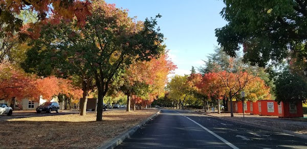 Bowdoin Street 2