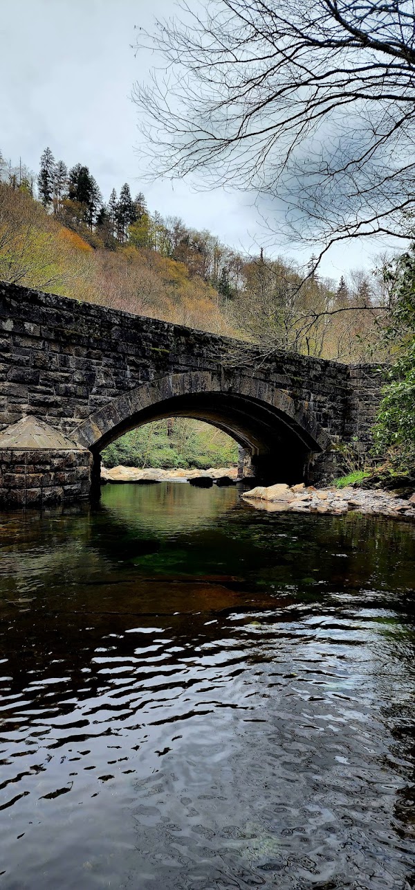 Newfound Gap Road 1