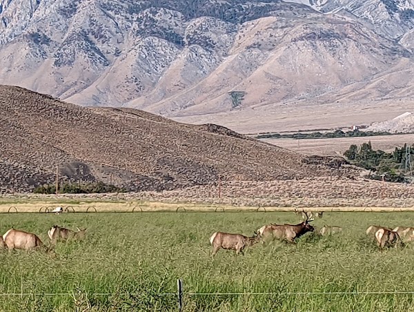 U.S. 395 2