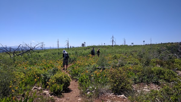 West Rim Trail 4