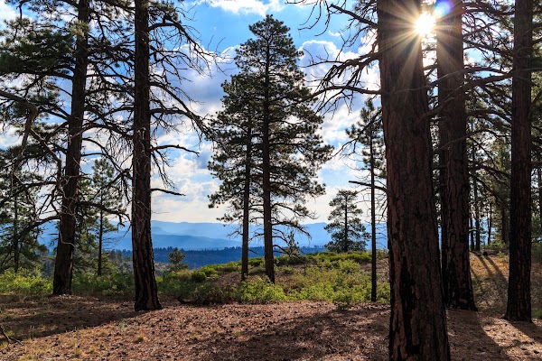 West Rim Trail 3