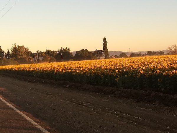California 128 1