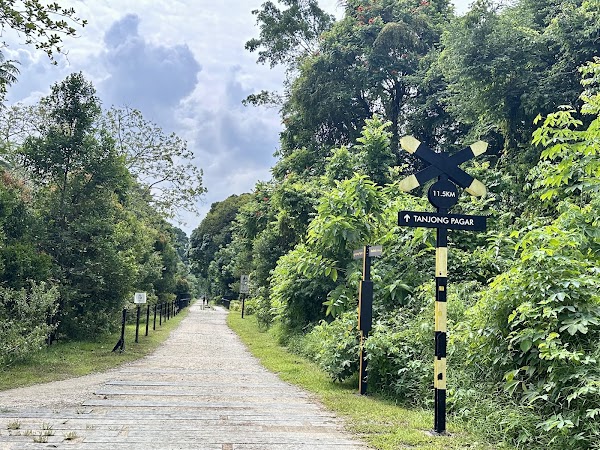 Rail Corridor 4