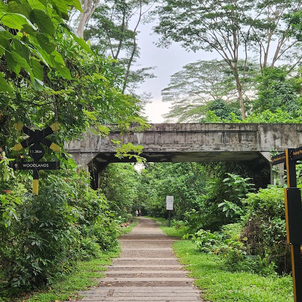 Rail Corridor 3
