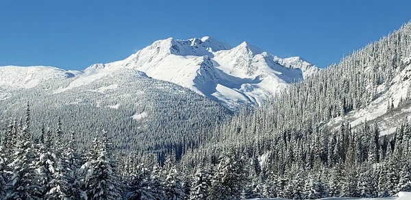 Highway 99 5