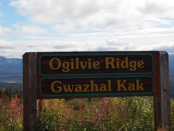 Dempster Highway 3