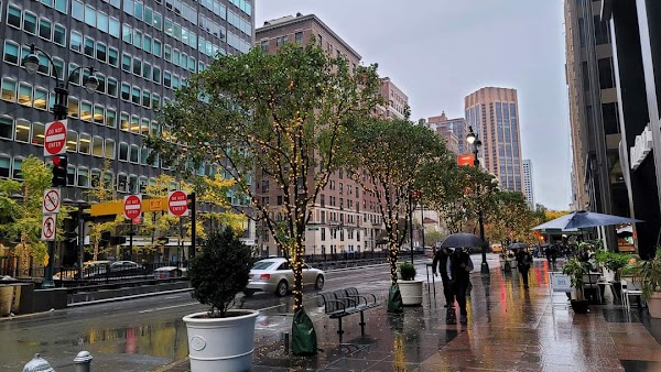 Park Avenue 4