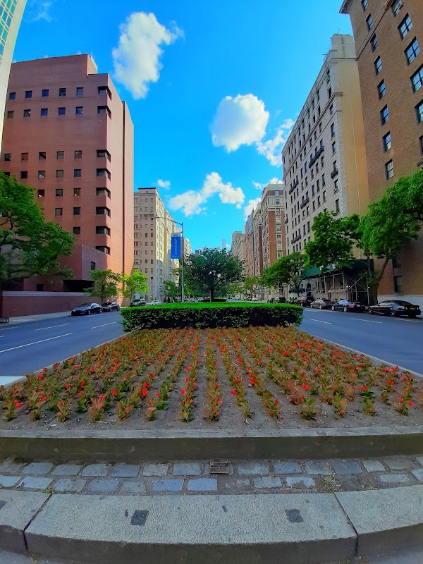 Park Avenue 2